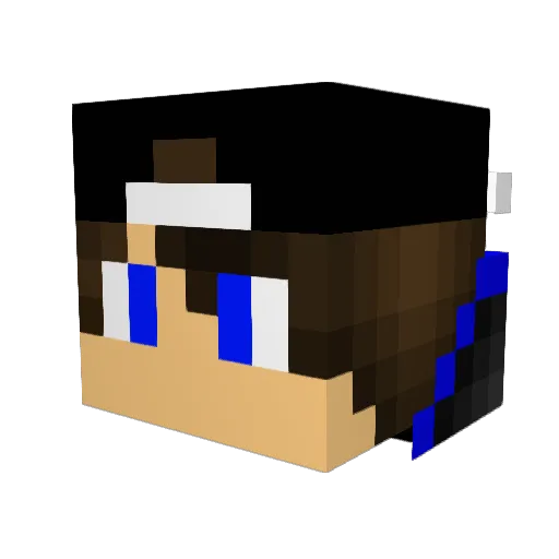 Skyarmy11653 Minecraft avatar head, 3D render
