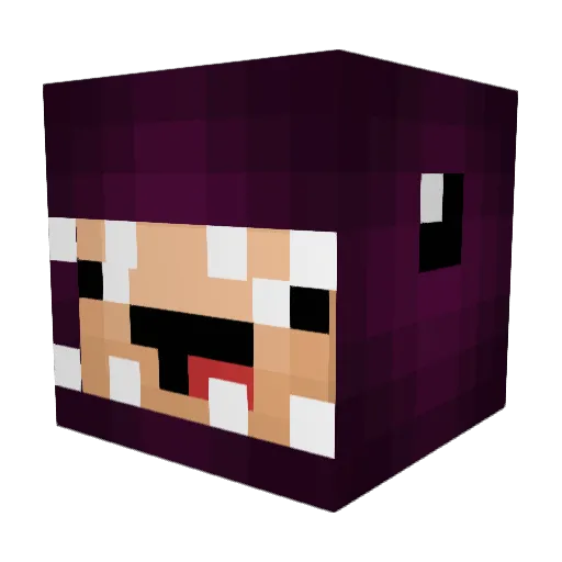 SkybTw_ Minecraft avatar head, 3D render