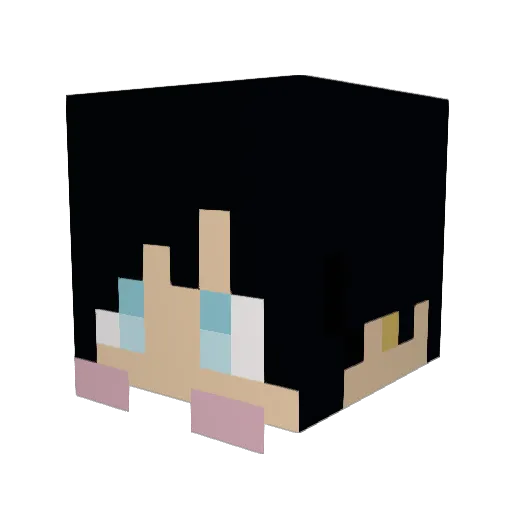 Skyblack1214 Minecraft avatar head, 3D render