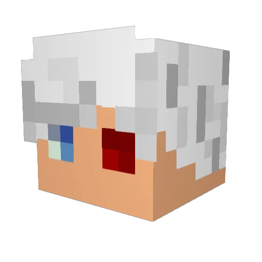 Skyblazze Minecraft avatar head, 3D render