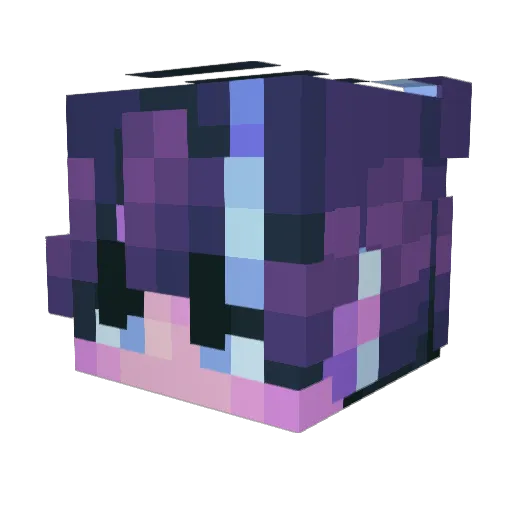 Skyblockaddicted Minecraft avatar head, 3D render