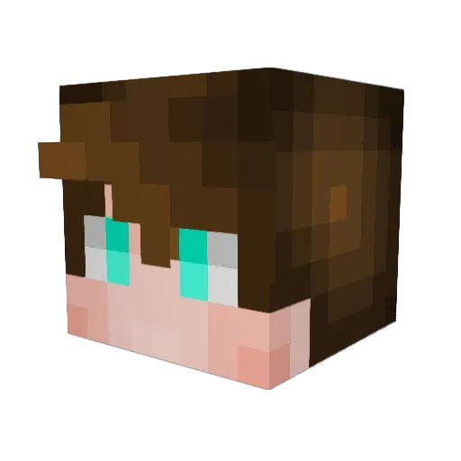 Skyblockerr Minecraft avatar head, 3D render