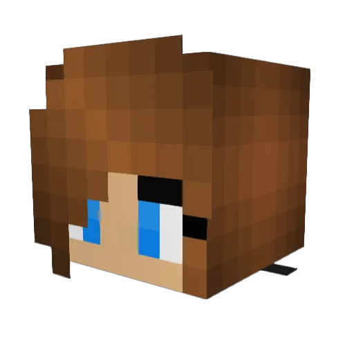 Skybluemonkey Minecraft avatar head, 3D render
