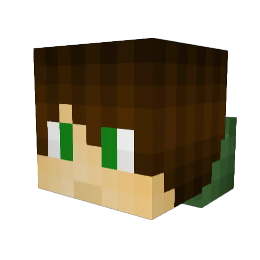Skybot14 Minecraft avatar head, 3D render