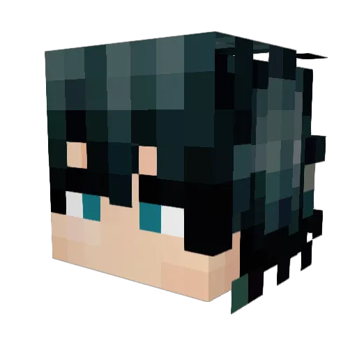 Skybound12 Minecraft avatar head, 3D render