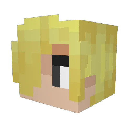 Skybracker Minecraft avatar head, 3D render