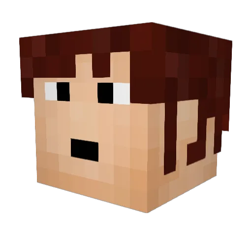 Skycase Minecraft avatar head, 3D render