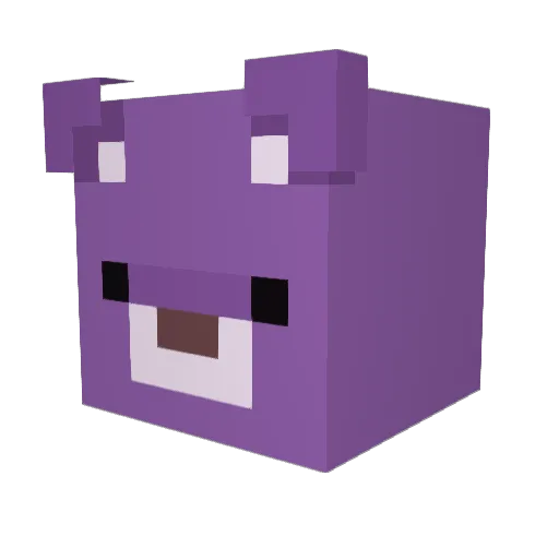Skyco11 Minecraft avatar head, 3D render