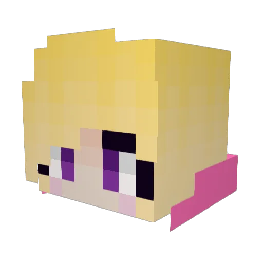 Skycraft101 Minecraft avatar head, 3D render
