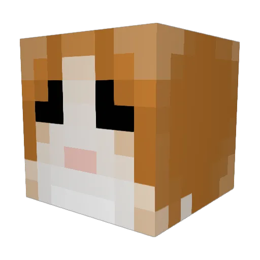 Skycrafter6 Minecraft avatar head, 3D render