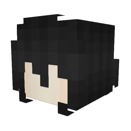 Skydaz Minecraft avatar head, 3D render