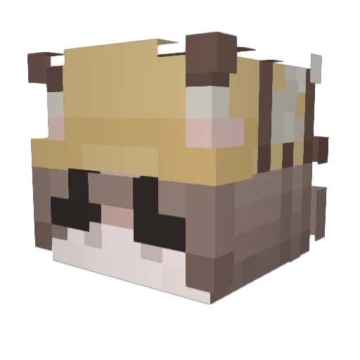 Skydiamond14 Minecraft avatar head, 3D render