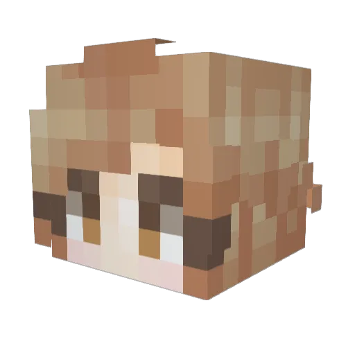 Skydorkable Minecraft avatar head, 3D render