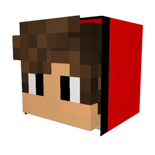 Skydox10 Minecraft avatar head, 3D render