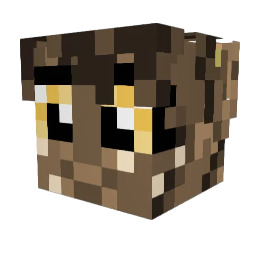 Skye1562 Minecraft avatar head, 3D render