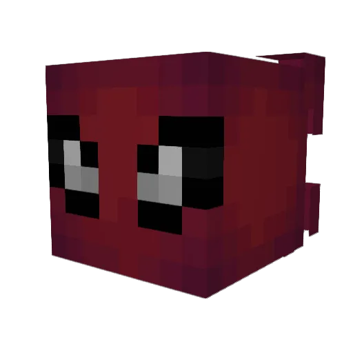 Skye2143 Minecraft avatar head, 3D render