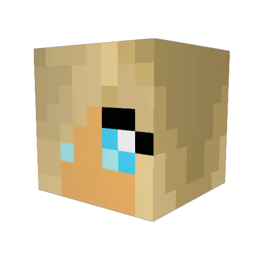 Skye269 Minecraft avatar head, 3D render