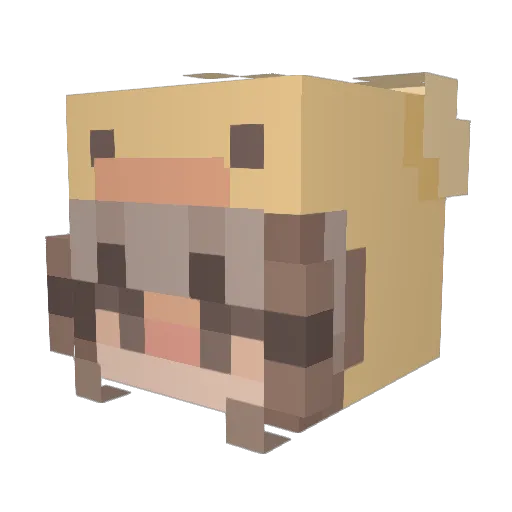 Skye652 Minecraft avatar head, 3D render