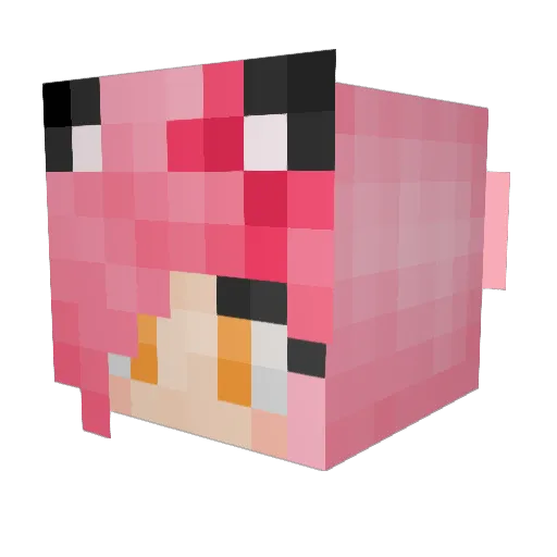 Skye78 Minecraft avatar head, 3D render