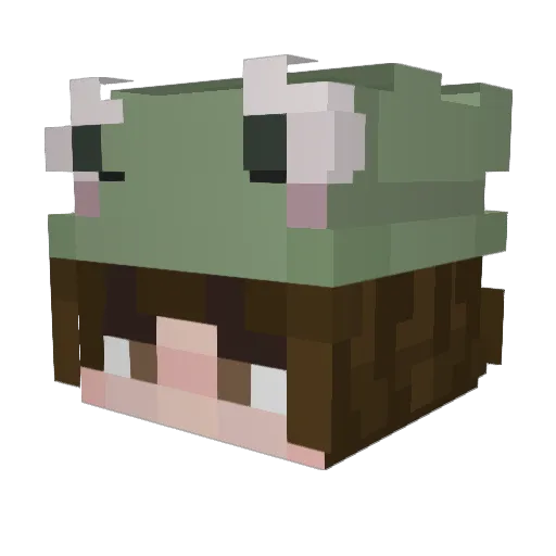 SkyeCraft Minecraft avatar head, 3D render