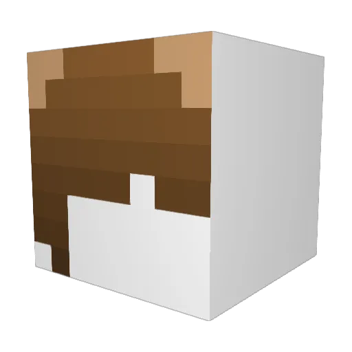 SkyeSweet Minecraft avatar head, 3D render