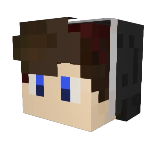 Skye_18 Minecraft avatar head, 3D render