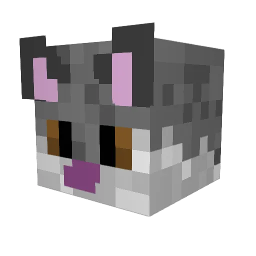 Skye_Cat Minecraft avatar head, 3D render