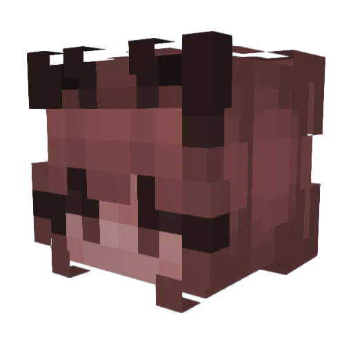 Skye_Lytes Minecraft avatar head, 3D render
