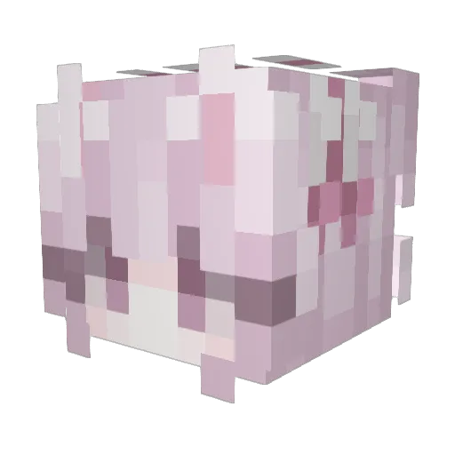 Skye_owo_97 Minecraft avatar head, 3D render