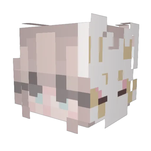 Skyehs33 Minecraft avatar head, 3D render