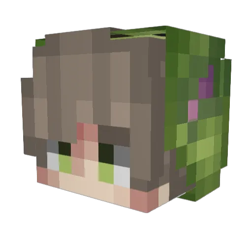 Skyelektronik Minecraft avatar head, 3D render