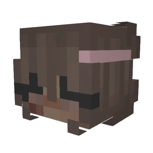 Skyeless Minecraft avatar head, 3D render
