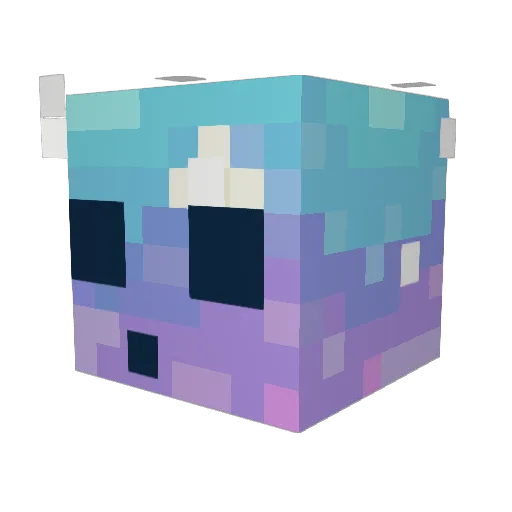 Skyelynn_ Minecraft avatar head, 3D render