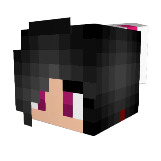 Skyera Minecraft avatar head, 3D render