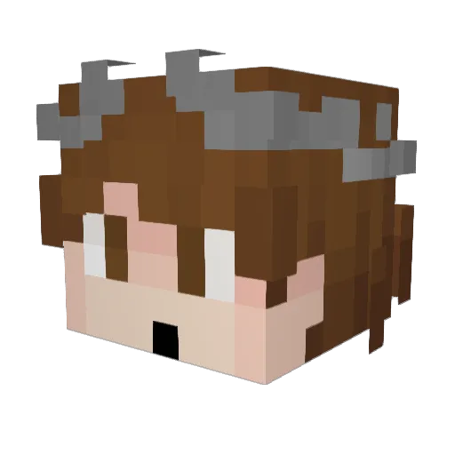Skyfair_ Minecraft avatar head, 3D render