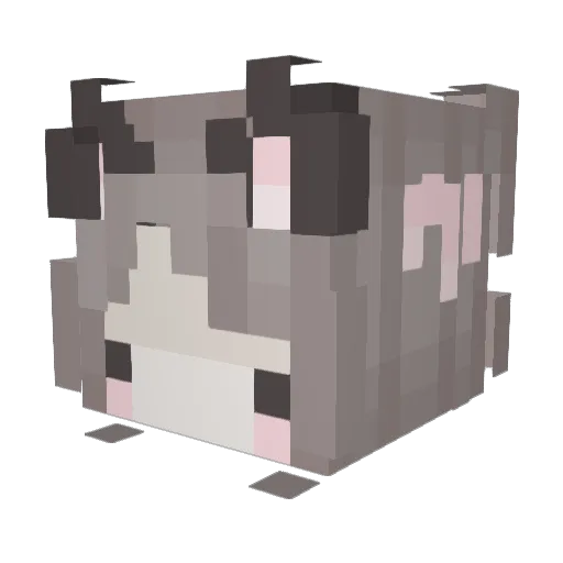 Skyfallllllll Minecraft avatar head, 3D render