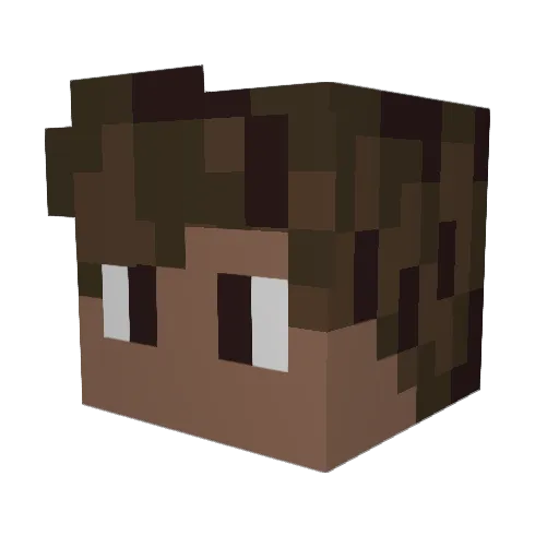 SkyfiFam Minecraft avatar head, 3D render