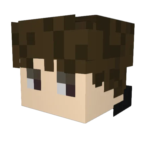 Skyfighter_Moon Minecraft avatar head, 3D render