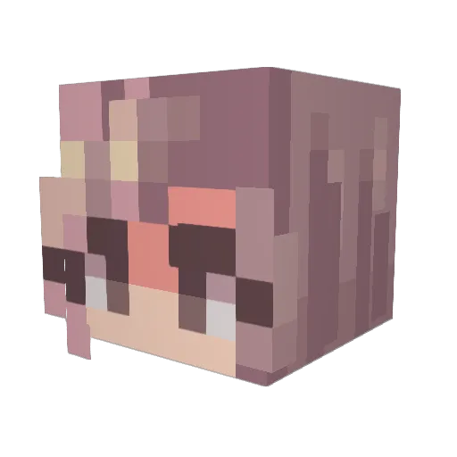 Skyflower11 Minecraft avatar head, 3D render