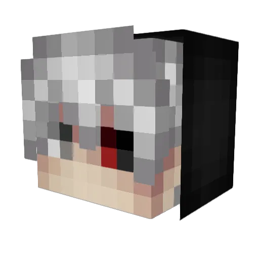 Skyfox222721 Minecraft avatar head, 3D render