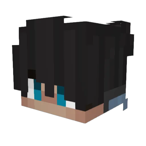 Skygames84 Minecraft avatar head, 3D render