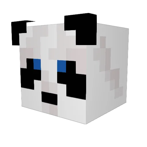 Skyggn Minecraft avatar head, 3D render