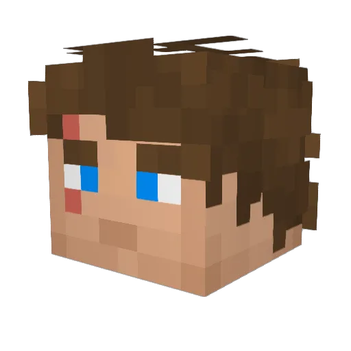 Skyguy00004 Minecraft avatar head, 3D render