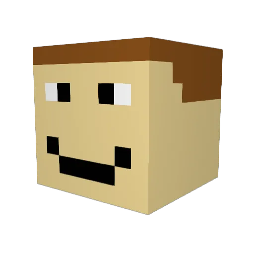 Skyguy31 Minecraft avatar head, 3D render