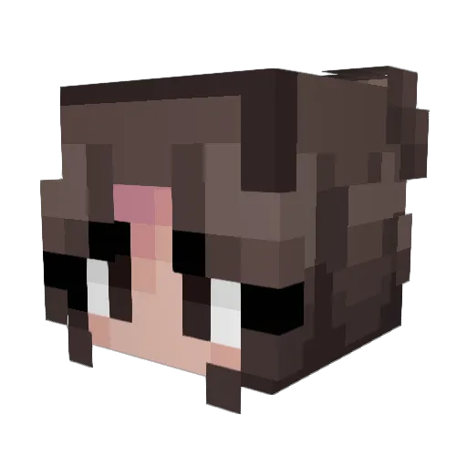 Skyhigh17 Minecraft avatar head, 3D render