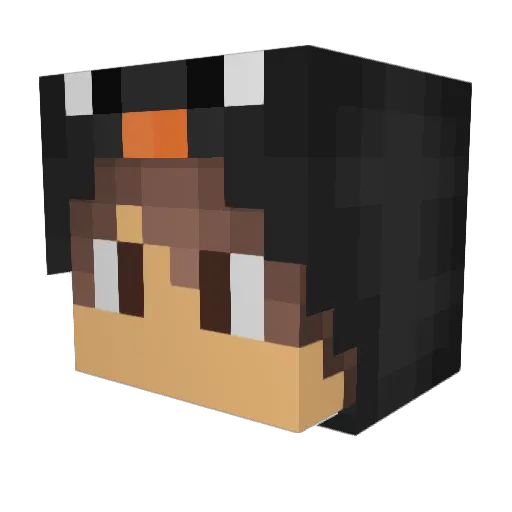 Skyhigh3405 Minecraft avatar head, 3D render