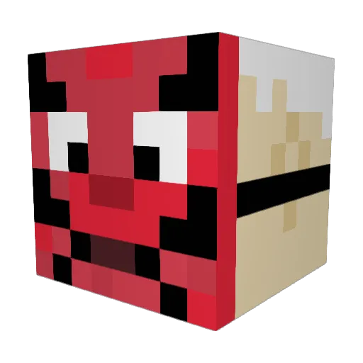 Skyhunter2780 Minecraft avatar head, 3D render