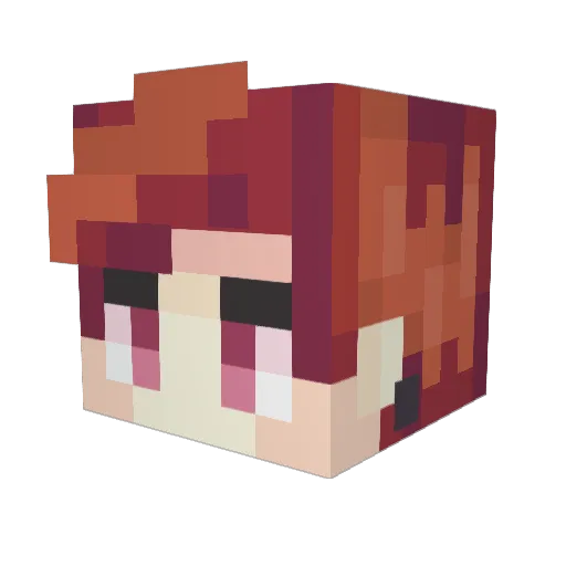 SkyisAmazing293 Minecraft avatar head, 3D render