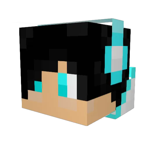 Skykiller1386 Minecraft avatar head, 3D render
