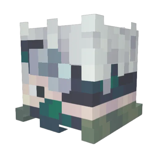 Skyla357 Minecraft avatar head, 3D render
